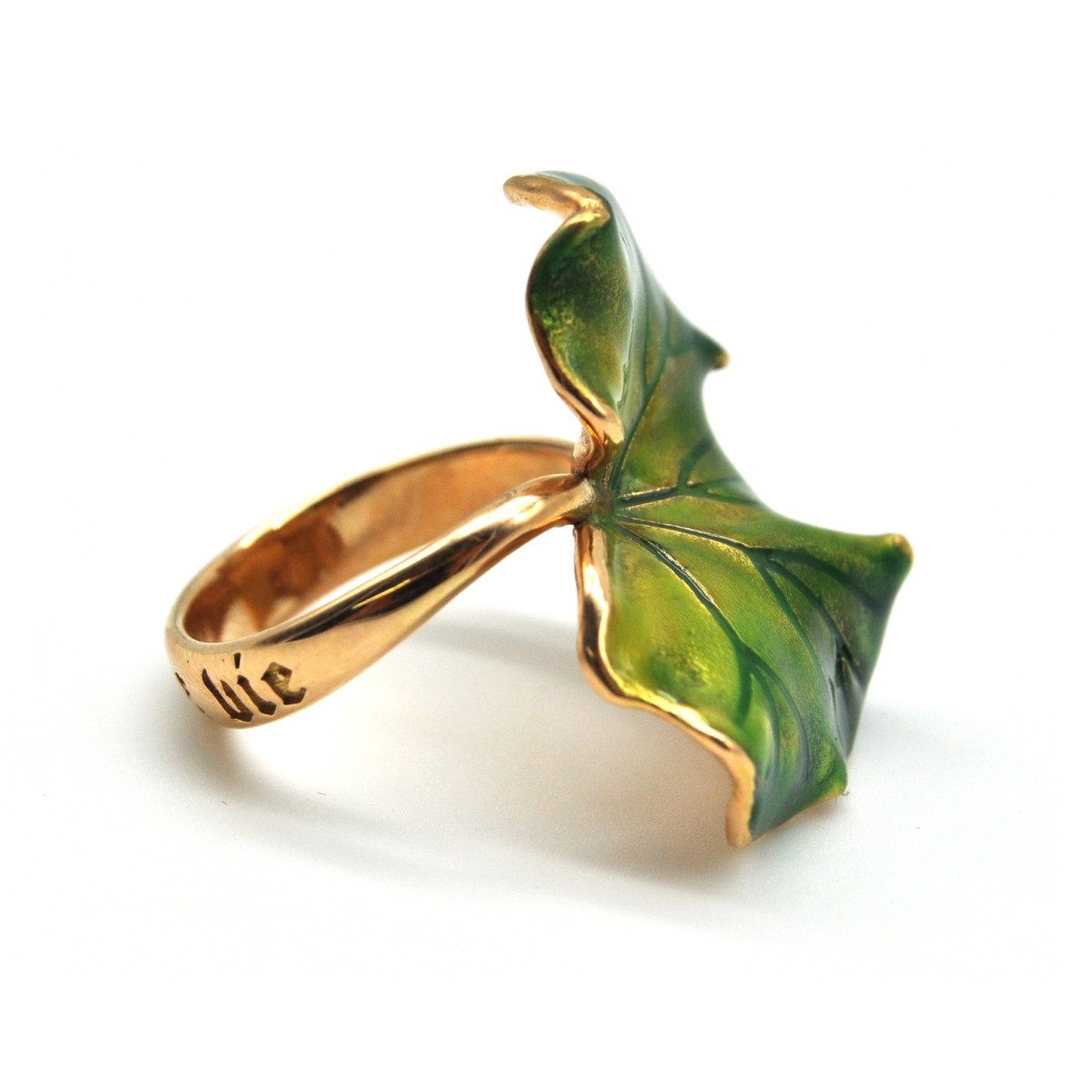 anello edera